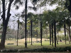 -杭州植物园