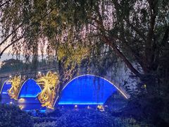 -西安汉城湖景区