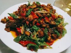 -煲来饱去冷水鱼