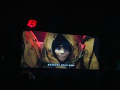 -枫花园汽车电影院(朝阳公园店)