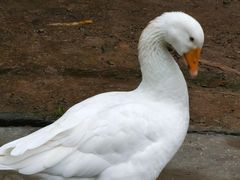 -Dragonfly 悠庭·按摩Spa(苏州中心广场店)