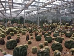 -龙达温泉生态城