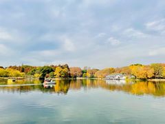 -上海共青森林公园