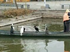 -大理洱源西湖景区