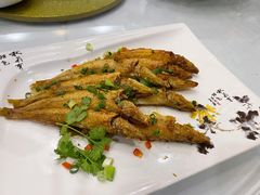 香煎沙锥鱼-君海悦酒楼