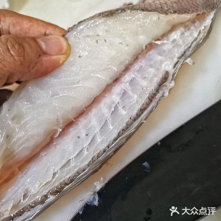 每天一個食譜 青根魚立鱗燒
