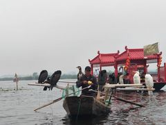-白洋淀景区