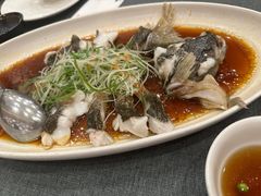 -老吉士酒家(丁香国际店)