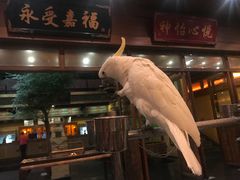 -那家小馆•北京菜•烤鸭(香山店)