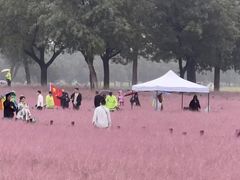 -汉长安城未央宫国家考古遗址公园