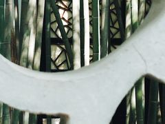 -望江楼公园
