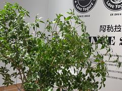 -Blueglass酸奶(华贸购物中心店)