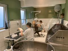 -電力宠物公司(武定路店)