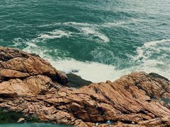 -广东惠东海龟国家级自然保护区