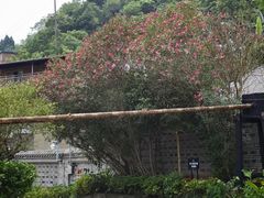 -燊海井