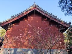 -洛阳白马寺