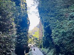 -夏霖九天银瀑风景区