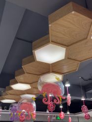-心联形象设计·流星染