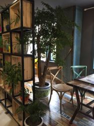 -龙摄影·艺术中心优选店(浙东店)