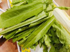 -芦月轩羊蝎子(劲松店)