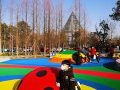 -上海市第一人民医院(松江南部)