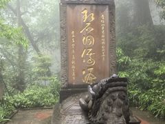 -青城山