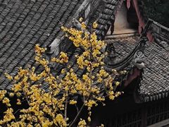 -宁波市保国寺古建筑博物馆