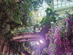 -正佳雨林生态植物园