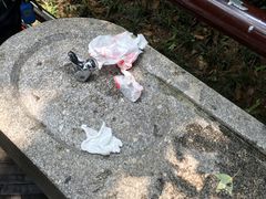 -韶山毛泽东同志故居