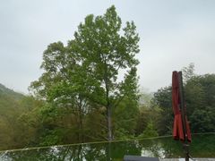 -宁海安岚·南溪阁全日餐厅
