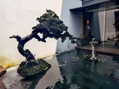 -觀芷隐轩
