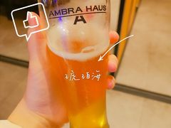 琥珀屋自酿啤酒-Ambra Haus琥珀屋精酿餐厅(宝山店)