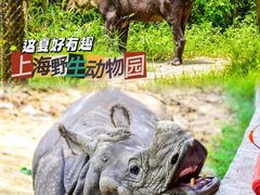 -上海野生动物园