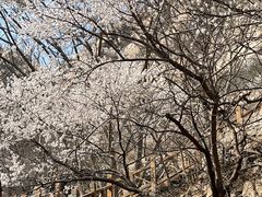 -北京凤凰岭