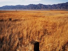 -野鸭湖国家湿地公园