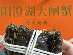 -阳澄湖大闸蟹·琼灵阁牌品牌连锁(吴中总店)