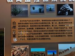 -银肯塔拉沙漠生态旅游景区