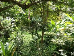 -自然餐厅(Phuket)