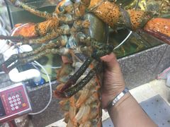 -蚝专家(北滘店)