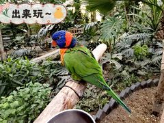 -南宫五洲植物乐园