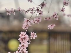 -三里河公园