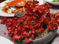 -宝燕壹号景观餐厅(龙盛国际商业广场店)