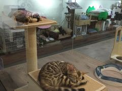 -宠物世家(仲盛世界商城店)