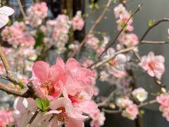-上海方塔园