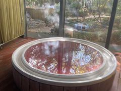 -春晖园度假酒店温泉