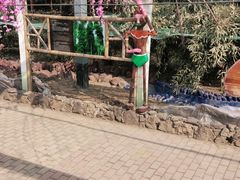 -呀路古热带植物园