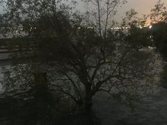 -宝安西湾红树林湿地公园