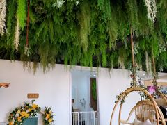 -Husky Go! 哈士奇体验馆·宠物咖啡厅狗咖