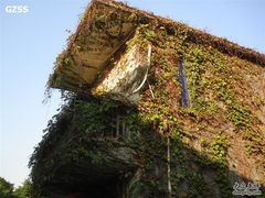 -小洲村