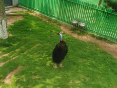 -西霞口神雕山野生动物世界